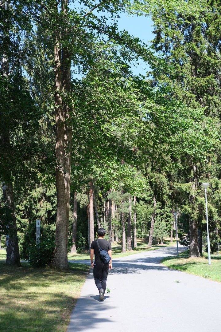 Skogskyrkogården - designed for the living