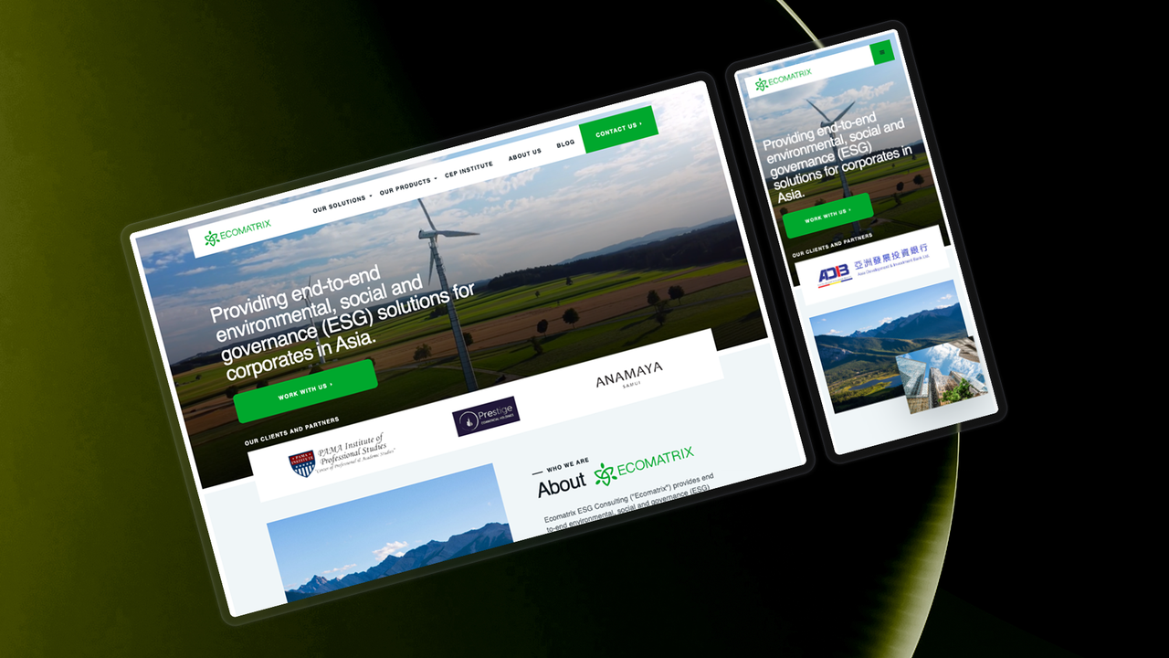 Ecomatrix Webflow project cover